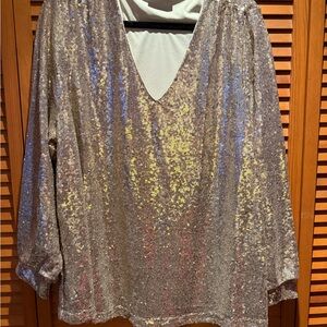 Lane Bryant Silver Sequin V-Neck Blouse